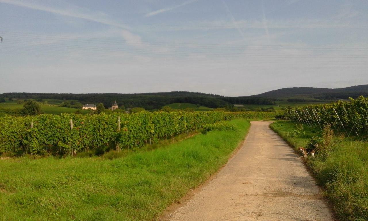 Ferienwohnung Jette Oestrich-Winkel Buitenkant foto